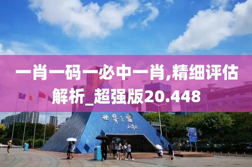 一肖一码一必中一肖,精细评估解析_超强版20.448