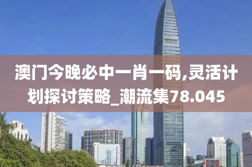 澳门今晚必中一肖一码,灵活计划探讨策略_潮流集78.045