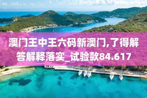 澳门王中王六码新澳门,了得解答解释落实_试验款84.617