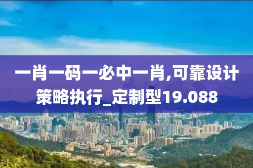一肖一码一必中一肖,可靠设计策略执行_定制型19.088