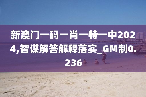 新澳门一码一肖一特一中2024,智谋解答解释落实_GM制0.236