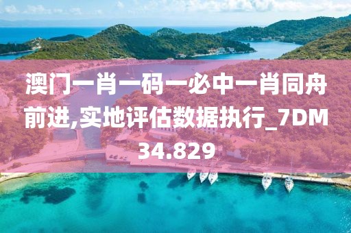 澳门一肖一码一必中一肖同舟前进,实地评估数据执行_7DM34.829