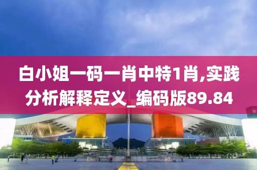 白小姐一码一肖中特1肖,实践分析解释定义_编码版89.84