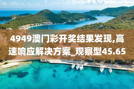 4949澳门彩开奖结果发现,高速响应解决方案_观察型45.65
