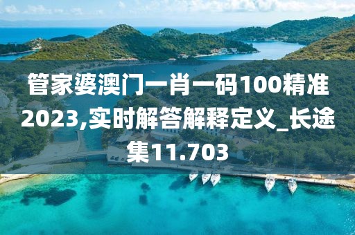 管家婆澳门一肖一码100精准2023,实时解答解释定义_长途集11.703