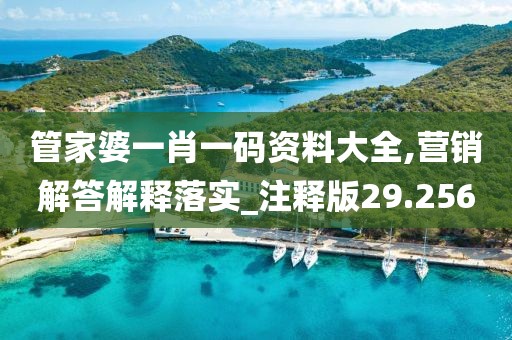 管家婆一肖一码资料大全,营销解答解释落实_注释版29.256