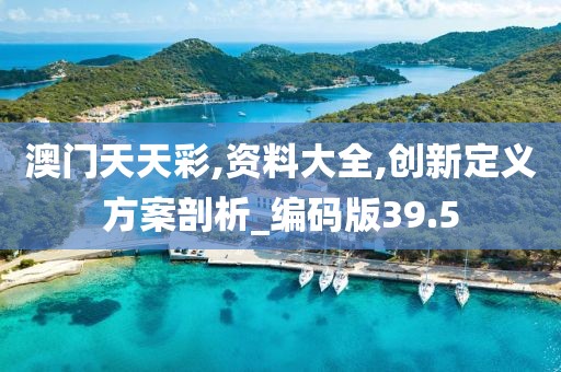 澳门天天彩,资料大全,创新定义方案剖析_编码版39.5