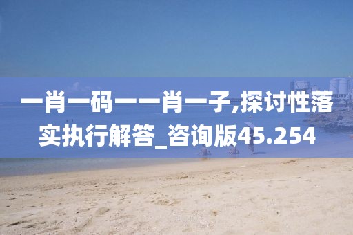 新澳历史记录查询 第17页