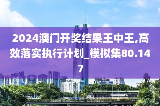 2024澳门开奖结果王中王,高效落实执行计划_模拟集80.147