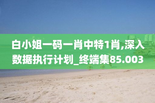 白小姐一码一肖中特1肖,深入数据执行计划_终端集85.003