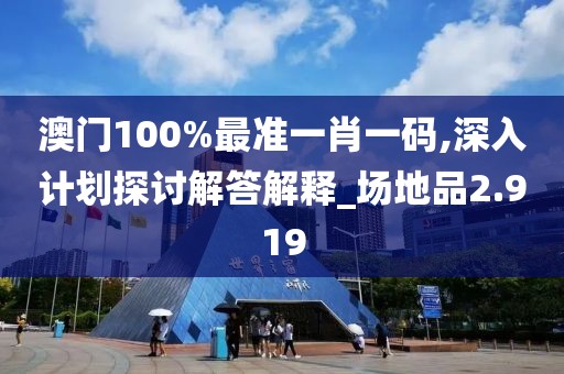 澳门100%最准一肖一码,深入计划探讨解答解释_场地品2.919