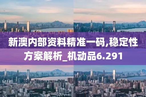 新澳内部资料精准一码,稳定性方案解析_机动品6.291