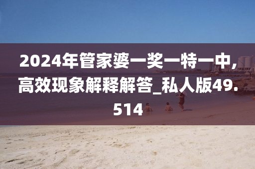 2024年管家婆一奖一特一中,高效现象解释解答_私人版49.514