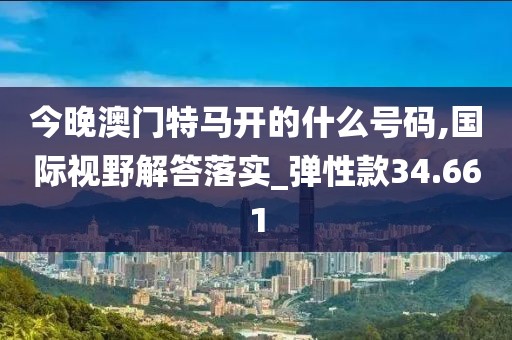 今晚澳门特马开的什么号码,国际视野解答落实_弹性款34.661