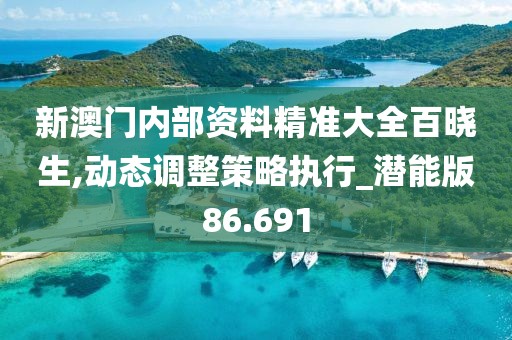 新澳门内部资料精准大全百晓生,动态调整策略执行_潜能版86.691