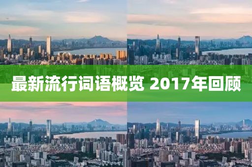 最新流行词语概览 2017年回顾