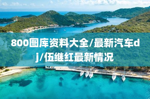 800图库资料大全/最新汽车dj/伍继红最新情况
