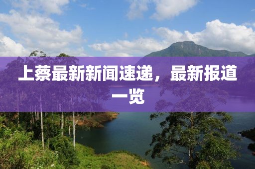 上蔡最新新闻速递，最新报道一览