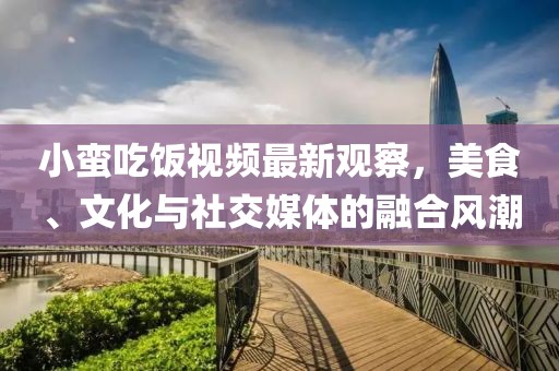 小蛮吃饭视频最新观察，美食、文化与社交媒体的融合风潮