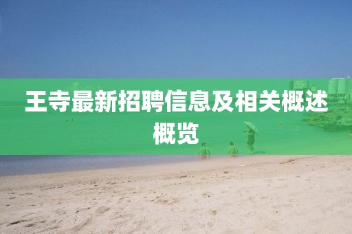 一肖一码精准 第13页