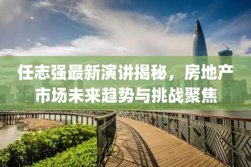 任志强最新演讲揭秘，房地产市场未来趋势与挑战聚焦