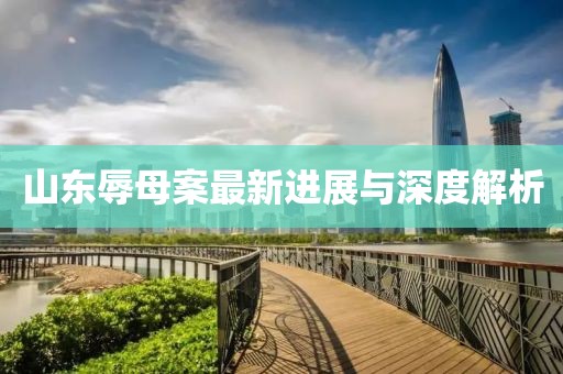山东辱母案最新进展与深度解析