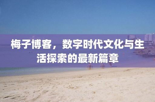 梅子博客，数字时代文化与生活探索的最新篇章