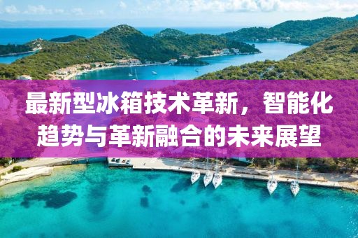 最新型冰箱技术革新，智能化趋势与革新融合的未来展望