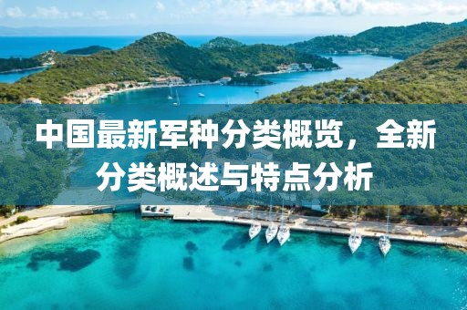 中国最新军种分类概览，全新分类概述与特点分析