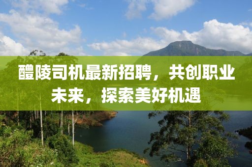 醴陵司机最新招聘，共创职业未来，探索美好机遇