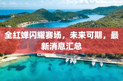 全红婵闪耀赛场，未来可期，最新消息汇总