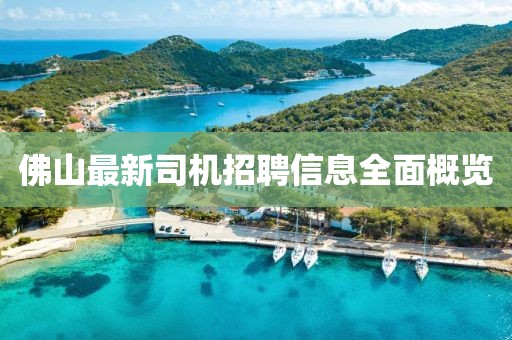 佛山最新司机招聘信息全面概览