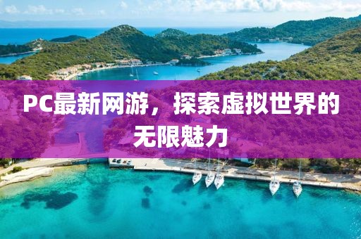 PC最新网游，探索虚拟世界的无限魅力