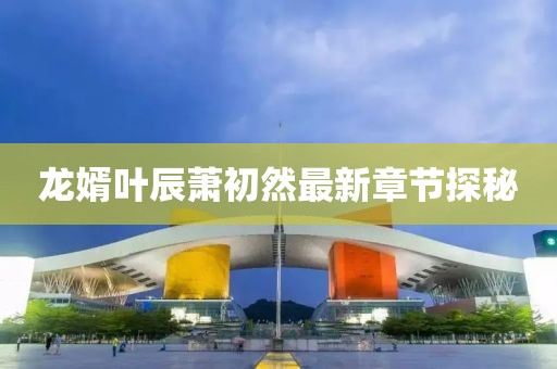 龙婿叶辰萧初然最新章节探秘