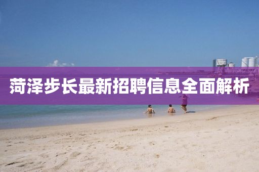 菏泽步长最新招聘信息全面解析
