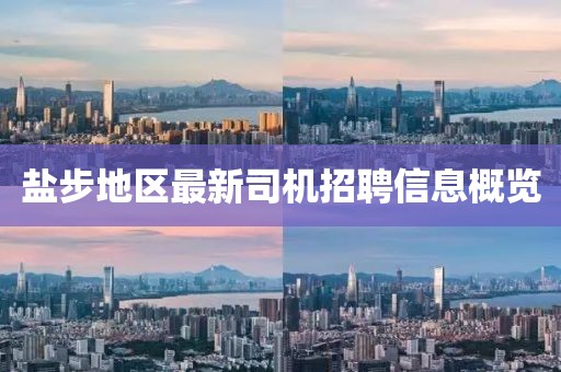 盐步地区最新司机招聘信息概览