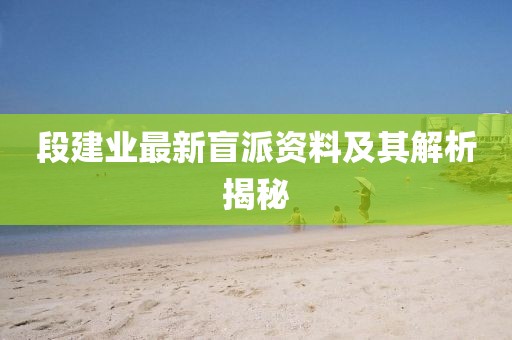 段建业最新盲派资料及其解析揭秘