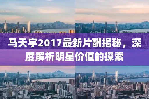 马天宇2017最新片酬揭秘，深度解析明星价值的探索