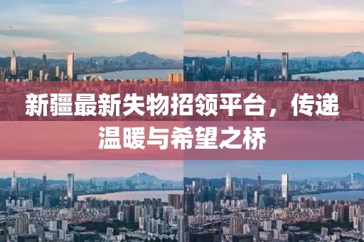 新疆最新失物招领平台，传递温暖与希望之桥