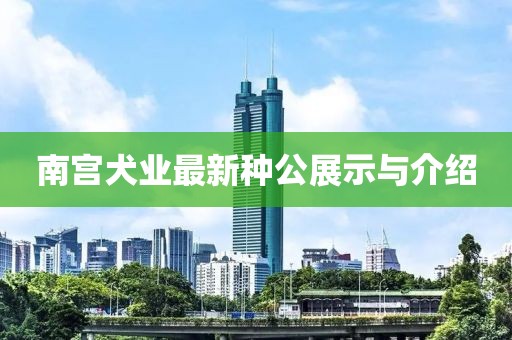 南宫犬业最新种公展示与介绍