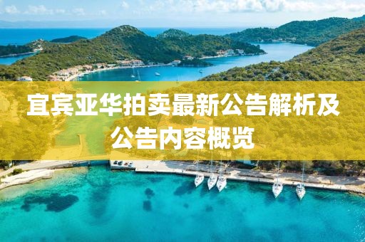 宜宾亚华拍卖最新公告解析及公告内容概览