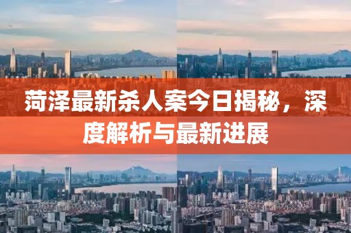 菏泽最新杀人案今日揭秘，深度解析与最新进展