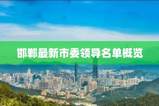 邯郸最新市委领导名单概览