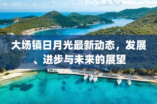 大场镇日月光最新动态，发展、进步与未来的展望