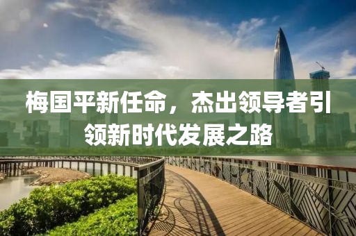 梅国平新任命，杰出领导者引领新时代发展之路