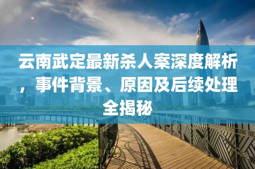 云南武定最新杀人案深度解析，事件背景、原因及后续处理全揭秘