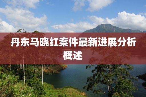 丹东马晓红案件最新进展分析概述