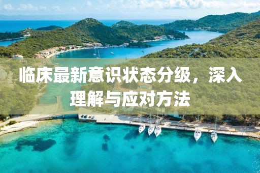 临床最新意识状态分级，深入理解与应对方法