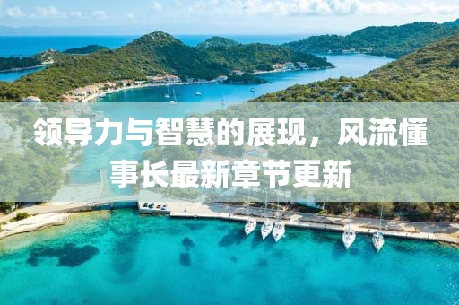 领导力与智慧的展现，风流懂事长最新章节更新