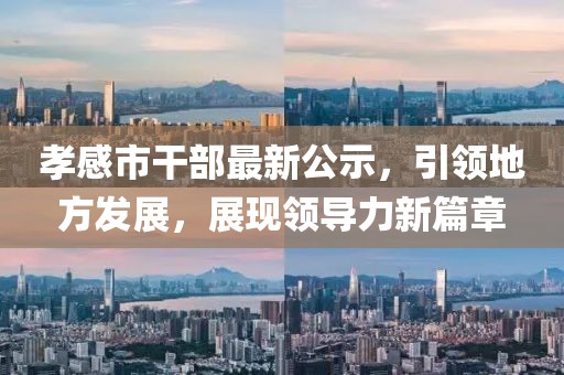 孝感市干部最新公示，引领地方发展，展现领导力新篇章